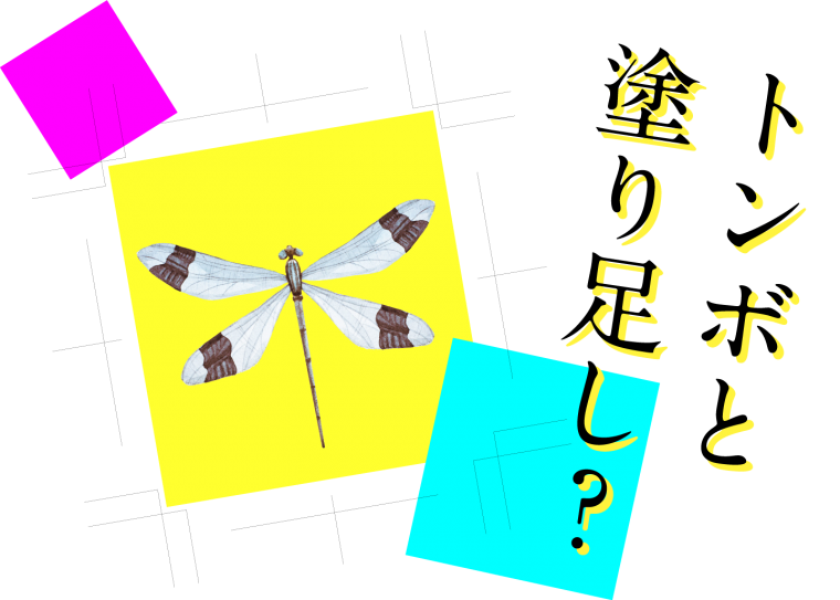 tonbo_nuritashi