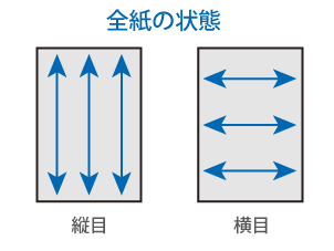 zenshi