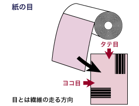 紙の目 目とは繊維の走る方向