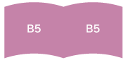 B5