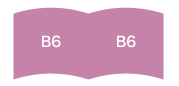 B6